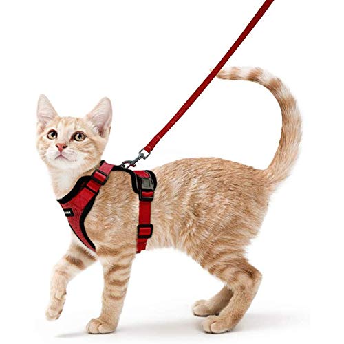 rabbitgoo Katzengeschirr mit Leine Softgeschirr für Katze Brustgeschirr Cat Harness Katzengarnitur Ausbruchsicher Verstellbar Katzenweste Rot S von rabbitgoo