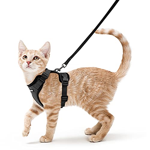 rabbitgoo Katzengeschirr mit Leine Schwarz Softgeschirr für Katze Brustgeschirr Cat Harness Katzengarnitur ausbruchsicher verstellbar Katzenweste Schwarz S von rabbitgoo