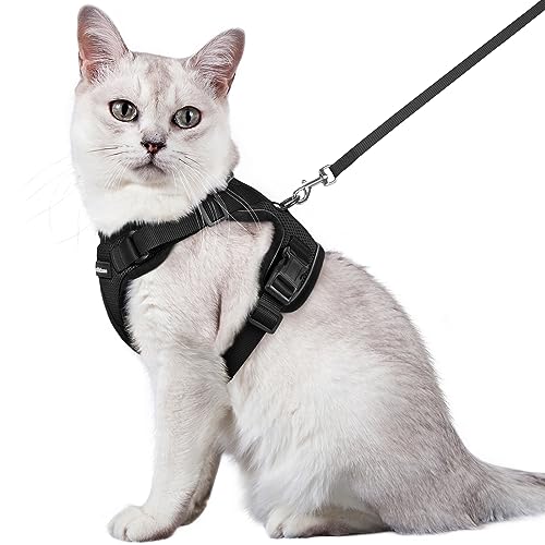 rabbitgoo Katzengeschirr mit Leine Schwarz Softgeschirr für Katze Brustgeschirr Cat Harness Katzengarnitur ausbruchsicher verstellbar Katzenweste Schwarz M von rabbitgoo