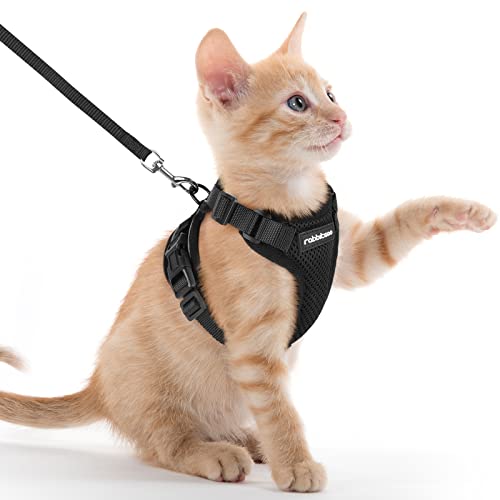 rabbitgoo Katzengeschirr mit Leine Schwarz Softgeschirr für Katze Brustgeschirr Cat Harness Katzengarnitur ausbruchsicher verstellbar Katzenweste Schwarz XXS von rabbitgoo