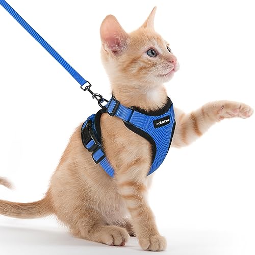 rabbitgoo Katzengeschirr mit Leine Softgeschirr für Katze Brustgeschirr Cat Harness Katzengarnitur ausbruchsicher verstellbar Katzenweste Blau XXS von rabbitgoo