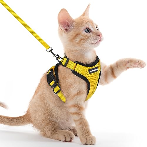 rabbitgoo Katzengeschirr mit Leine Softgeschirr für Katze Brustgeschirr Cat Harness Katzengarnitur ausbruchsicher verstellbar Katzenweste Gelb XXS von rabbitgoo