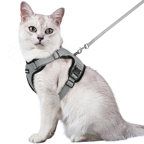 rabbitgoo Katzengeschirr mit Leine Softgeschirr für Katze Brustgeschirr Cat Harness Katzengarnitur ausbruchsicher verstellbar Katzenweste Grau M von rabbitgoo