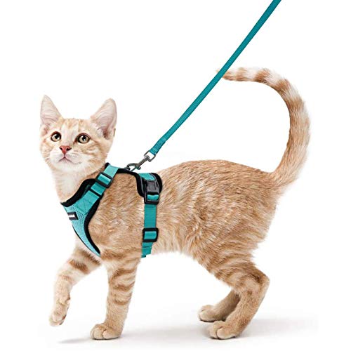 rabbitgoo Katzengeschirr mit Leine Softgeschirr für Katze Brustgeschirr Cat Harness Katzengarnitur ausbruchsicher verstellbar Katzenweste Grün S von rabbitgoo