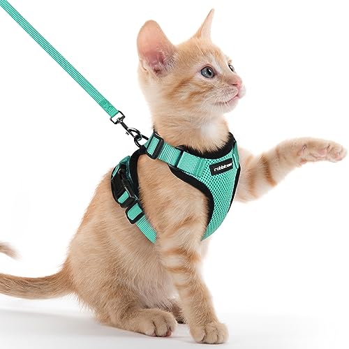 rabbitgoo Katzengeschirr mit Leine Softgeschirr für Katze Brustgeschirr Cat Harness Katzengarnitur ausbruchsicher verstellbar Katzenweste Grün XXS von rabbitgoo