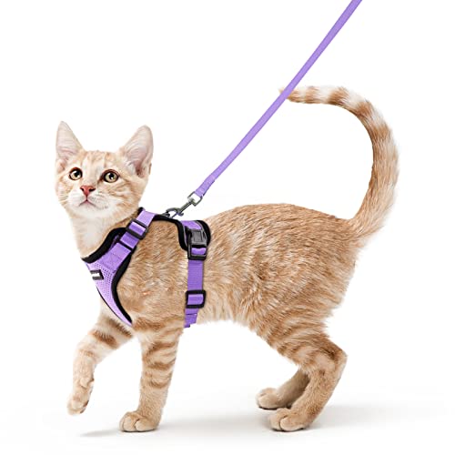 rabbitgoo Katzengeschirr mit Leine Softgeschirr für Katze Brustgeschirr Cat Harness Katzengarnitur ausbruchsicher verstellbar Katzenweste Hell Lila S von rabbitgoo