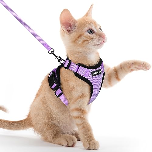 rabbitgoo Katzengeschirr mit Leine Softgeschirr für Katze Brustgeschirr Cat Harness Katzengarnitur ausbruchsicher verstellbar Katzenweste Hell Lila XXS von rabbitgoo