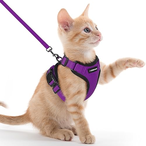 rabbitgoo Katzengeschirr mit Leine Softgeschirr für Katze Brustgeschirr Cat Harness Katzengarnitur ausbruchsicher verstellbar Katzenweste Lila XXS von rabbitgoo