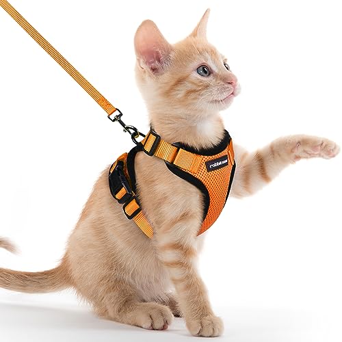 rabbitgoo Katzengeschirr mit Leine Softgeschirr für Katze Brustgeschirr Cat Harness Katzengarnitur ausbruchsicher verstellbar Katzenweste Orange XXS von rabbitgoo