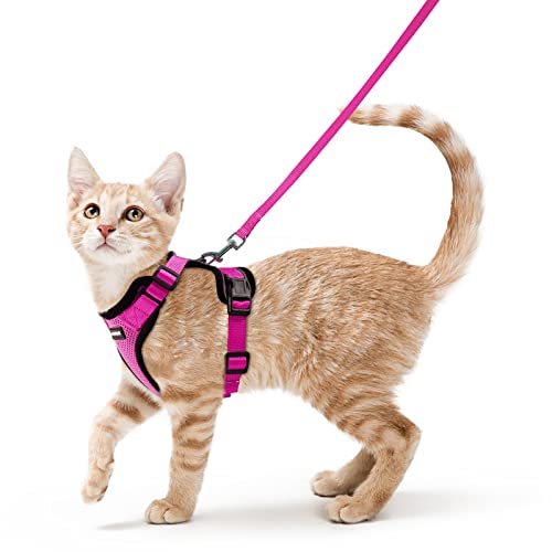 rabbitgoo Katzengeschirr mit Leine Softgeschirr für Katze Brustgeschirr Cat Harness Katzengarnitur ausbruchsicher verstellbar Katzenweste Rosenrot S von rabbitgoo