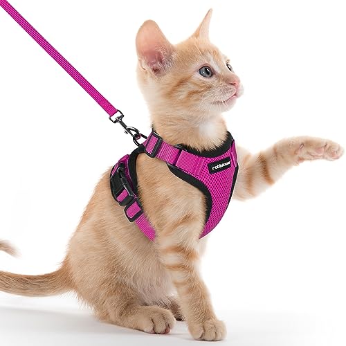 rabbitgoo Katzengeschirr mit Leine Softgeschirr für Katze Brustgeschirr Cat Harness Katzengarnitur ausbruchsicher verstellbar Katzenweste Rosenrot XXS von rabbitgoo