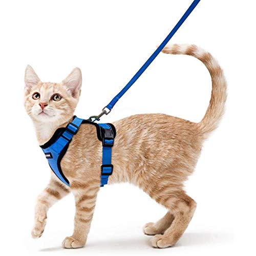 rabbitgoo Katzengeschirr mit Leine Softgeschirr für Katze Brustgeschirr Cat Harness Katzengarnitur ausbruchsicher verstellbar Katzenweste Blau XS von rabbitgoo