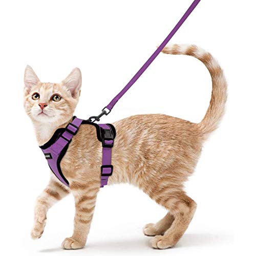 rabbitgoo Katzengeschirr mit Leine Softgeschirr für Katze Brustgeschirr Cat Harness Katzengarnitur ausbruchsicher verstellbar Katzenweste Lila XS von rabbitgoo