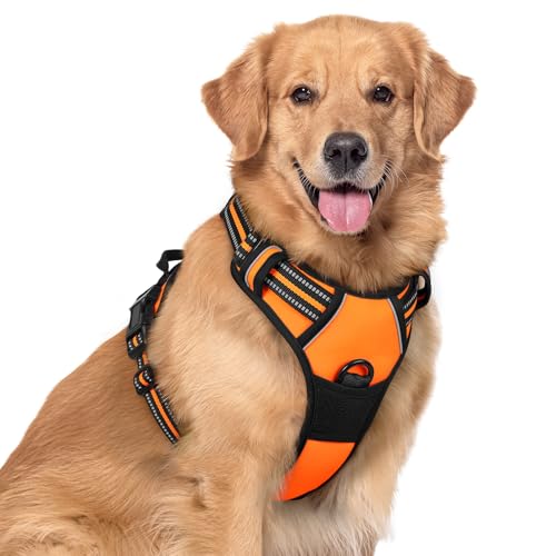 rabbitgoo Hundegeschirr Mittelgroße Hunde, Anti Zug Geschirr mit Kontrolle, No Pull Verstellbar Hundegeschirr Grosse Hunde, Atmungsaktiv Reflexstreifen Brustgeschirr Sichere Führung Orange XL von rabbitgoo