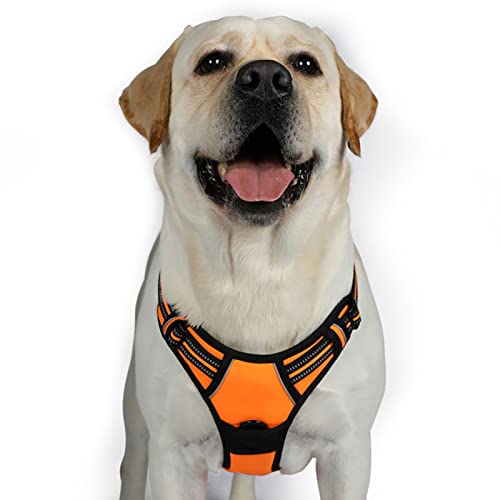 rabbitgoo Hundegeschirr Mittelgroße Hunde, Anti Zug Geschirr mit Kontrolle, No Pull Verstellbar Hundegeschirr Grosse Hunde, Atmungsaktiv Reflexstreifen Brustgeschirr Sichere Führung Orange XL von rabbitgoo