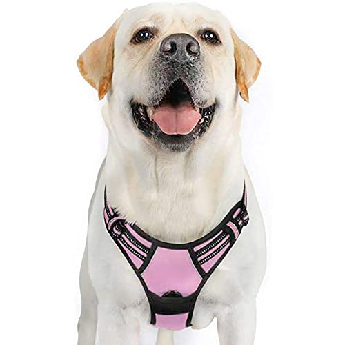 rabbitgoo Hundegeschirr Mittelgroße Hunde Anti Zug Geschirr Hund mit Kontrolle No Pull Verstellbar Hundegeschirr Grosse Hunde Atmungsaktiv Reflexstreifen Brustgeschirr Hund Sichere Führung Rosa XL von rabbitgoo