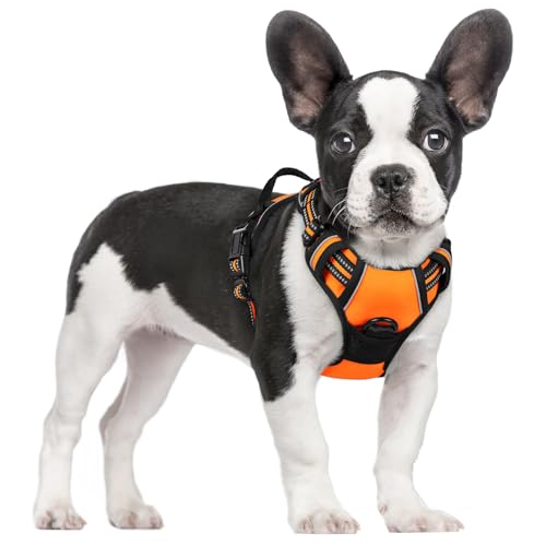 rabbitgoo Hundegeschirr Mittelgroße Hunde Anti Zug Geschirr Hund mit Kontrolle No Pull Verstellbar Hundegeschirr Grosse Hunde Atmungsaktiv Reflexstreifen Brustgeschirr Hund Sichere Führung Orange S von rabbitgoo