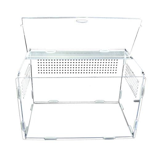 rebirthesame Reptile Clear Terrarium Habitat Acryl-Vollansichts-Fütterungsbox Tragbare Reptilien-Zuchtbox Für Insekten-Spinnen-Eidechsen-Frosch-Cricket-Schildkröten-Schnecken-Raupen - S, L, XL von rebirthesame