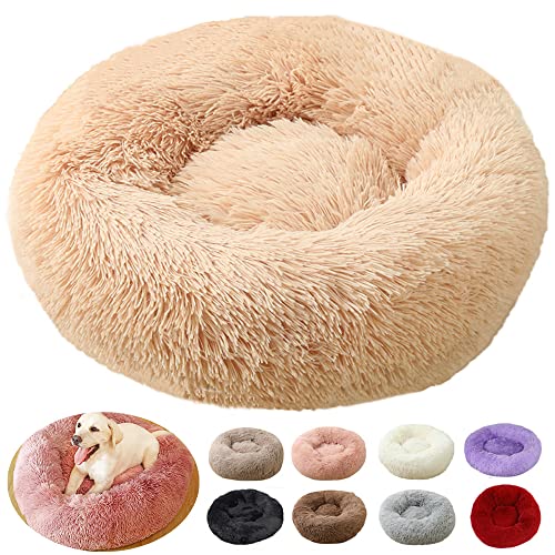 Katzenbett, Katzenkissen, Hundekissen, Anti-Stress, beruhigendes Hundekissen, große Größe, orthopädisch und waschbar, Hundebett Donut (50 cm, Aprikose) von rngcpto