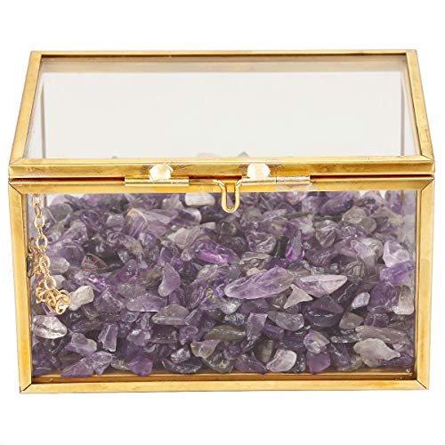 rockcloud Amethyst Heilkristall Terrarium Container Desktop Pflanzgefäß für Sukkulenten Luftpflanzen Halter Feengarten Heimdekoration von rockcloud