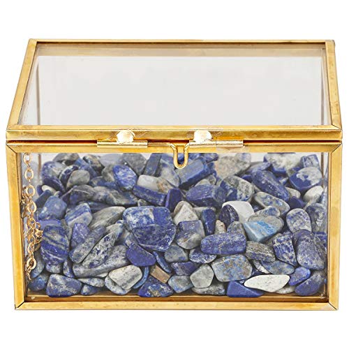 rockcloud Lapislazuli Heilkristall Terrarium Container Desktop Planter für Sukkulenten Luftpflanzen Halter Feengarten Heimdekoration von rockcloud