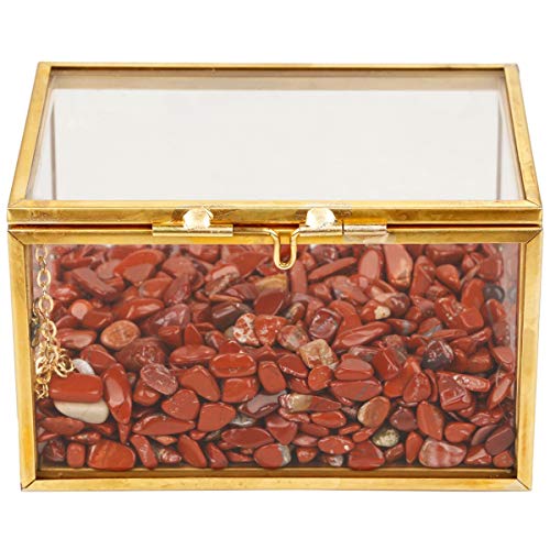 rockcloud Roter Jaspis Heilkristall Terrarium Container Desktop Planter für Sukkulenten Luftpflanzen Halter Feengarten Heimdekoration von rockcloud