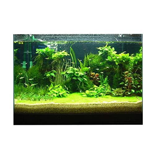 rockible Aquarium Dekor, Selbstklebend, Unterwasserwelt 6 Größen, 61 x 41 cm von rockible