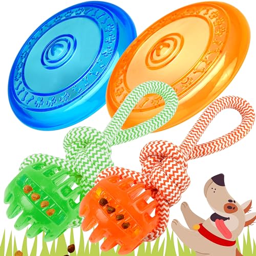 rootsnoot Frisbee FÜR Hunde | weich und super stabil | schwimmfähig | besonders Zahn - schonend | SCHADSTOFF FREI (Super Spar Set 2X Frisbee, 2X Ball) von rootsnoot