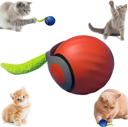 routinfly Speedy Tail 2.0, 2025 Neuer Speedy Tail Katzenspielzeug, interaktiver spielball für Katzen, Katzenspielzeug Elektrisch mit USB, Automatischer 360 Grad Rollbal, Two Speed Adjustment (Orange) von routinfly