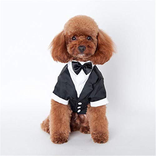 rrrrr Modische schwarze Fliege für Hunde und Katzen, Gentleman-Kostüm, Smoking, formelle Party, Hochzeit, Jacke, Kleidung für kleine Hunde von rrrrr