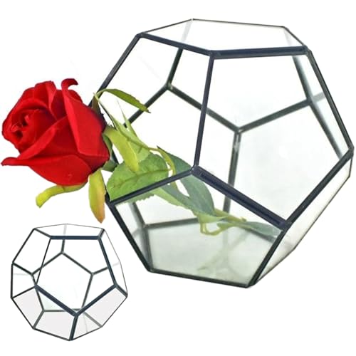 Glaspflanzenterrarium, 7, 1x7.1x5, 5 '' Schweißpentagon Glass -Terrarium mit Tür, geometrisch geschlossen für Farne Sukkulenten Pflanzen Schwarze Pflanze von rupusiner