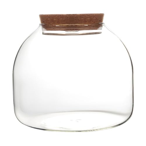 Glasterrarium für Pflanzen, 1600 ml Pflanzen -Terrarium mit Korkdeck von rupusiner