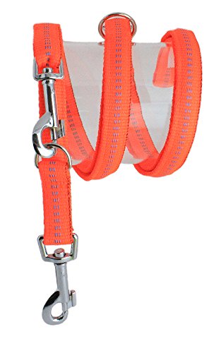 Koch G4431533 Nylon-Leine 3 Meter 4fach verstellbar, gepolstert, S, leuchtorange von rusepin