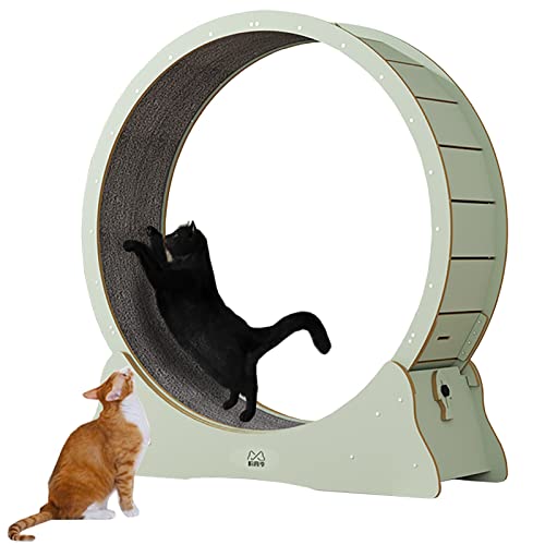 Grünes, leises, Sich drehendes Katzenlaufband, Kätzchen-Übungsrad mit Feststellvorrichtung, interaktives Katzenspielzeug zur Gewichtsreduktion ohne Lücke für Katzen im Innenbereich (Innendur von saditesdk