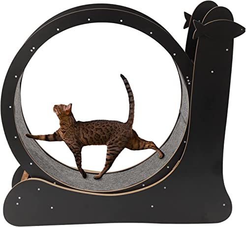 Katzenlaufband, Haustierspielzeug, runde Laufräder für Katzen im Innenbereich, mit Teppichboden zum Abnehmen und Trainieren von Katzen, Bewegungsrad (A) von saditesdk