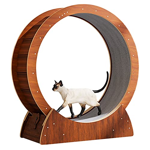 Laufrad für Katzen, mit Sicherheitsverriegelung, geräuschloses Laufrad aus Holz (geräuschloses Laufrad für Katzen, einfache Montage, Holzfarbe) von saditesdk