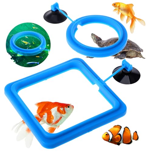 2 Stück Fischfutterring, Blau Fisch Futterspender Aquarium Fischschildkröte Tank Zubehör Futter Futterspender Kreis für Guppy Schildkröte Goldfisch Bettas von salbsever