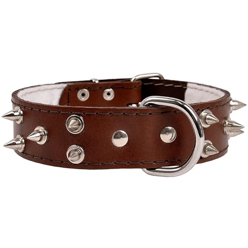 Braunes Leder Stachelhalsband, Hundehalsband 40mm/46cm von sarcia.eu