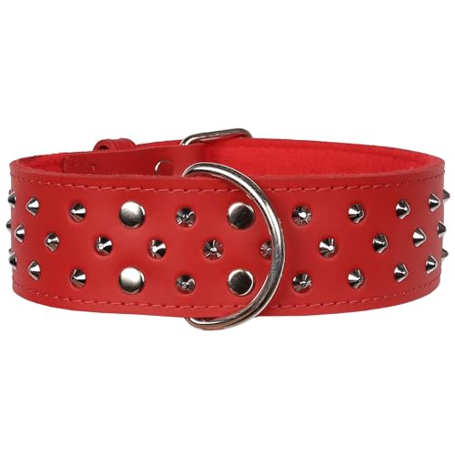 Lederhalsband mit Nieten, Hundehalsbänder (Rot, 50mm/50cm) von sarcia.eu