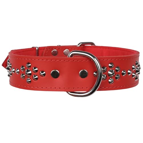 Lederhalsband mit Nieten, Hundehalsband 40mm/57cm (Rot) von sarcia.eu