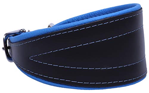 sarcia Schwarz-blaues Hundehalsband Chart Neo- 55 cm ZOOleszcz EinheitsgrĂ¶Ăźe von sarcia.eu