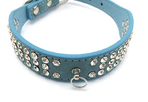 Scarlet pet | Hundehalsband »Glamour« mit modischem Besatz aus funkelndem Strass; Diverse Farben und Größen (XS: 26 cm, Türkis) von scarlet bijoux