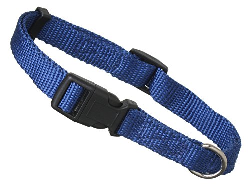 Scarlet pet | Hundehalsband »Universal« mit Klickverschluss und Längenverstellung; Diverse Farben und Größen; Robustes Nylon (L: 32-49 x 2,5 cm/Blau) von scarlet bijoux