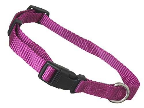 Scarlet pet | Hundehalsband »Universal« mit Klickverschluss und Längenverstellung; Diverse Farben und Größen; Robustes Nylon (L: 32-49 x 2,5 cm/Lila) von scarlet bijoux