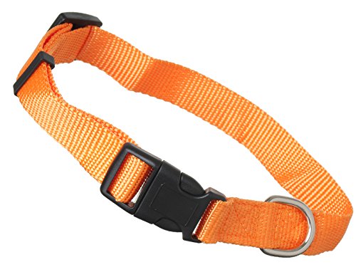 Scarlet pet | Hundehalsband »Universal« mit Klickverschluss und Längenverstellung; Diverse Farben und Größen; Robustes Nylon (L: 32-49 x 2,5 cm/Orange) von scarlet bijoux