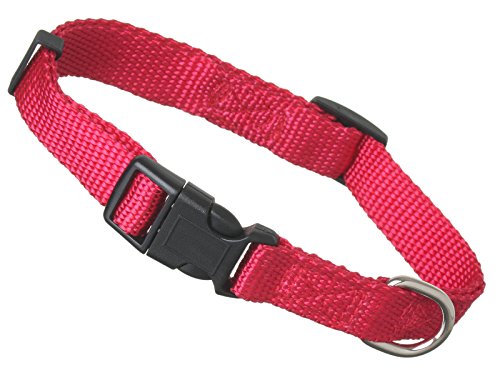 Scarlet pet | Hundehalsband »Universal« mit Klickverschluss und Längenverstellung; Diverse Farben und Größen; Robustes Nylon (S: 24-34 x 1,5 cm/Rot) von scarlet bijoux