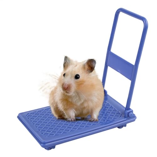 scyca Hamster-Haustierspielzeug, Hamsterwagen-Spielzeug - Hamsterbett Kleintierspielzeug - Kleines Wagen-Chinchilla-Bett, Hamster-Anreicherungsspielzeug, Hamsterkäfig-Spielzeug für Chinchillas, von scyca