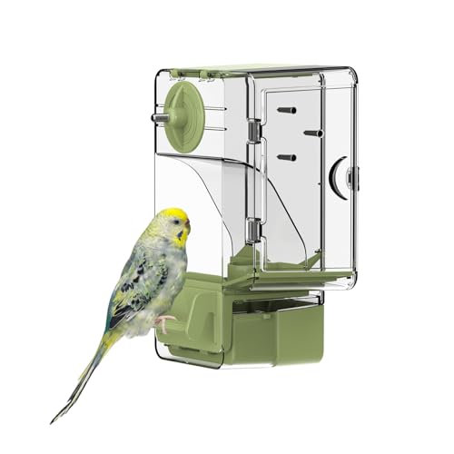 Automatischer Vogelfutterspender, Vogelkäfig-Futterspender mit Sitzstange Multifunktionaler Halter für Obst und Gemüse für Wellensittiche, Sittiche, Kanarienvögel, Nymphensittiche, Finken (Grün) von septillar