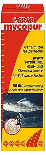 sera mycopur 50 ml - Arzneimittel für Fische gegen Verpilzungen (Mykosen), Medizin fürs Aquarium von sera