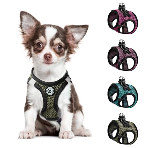 Chihuahua Hundegeschirr Comfort Mesh Dog Vesr Harness Extra Small Pet Harness for Chihuahua Weich Gepolstertes Geschirr Atmungsaktiv Leicht Verstellbares Welpengeschirr für Katze Doggie (Grün, von shifenmei